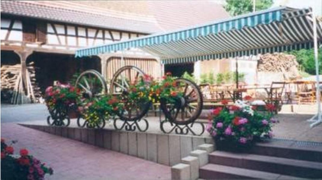 Ferme Auberge Du Moulin Des Sept Fontaines Drachenbronn-Birlenbach Exterior photo